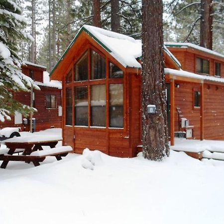 Cedar Pines Resort South Lake Tahoe Eksteriør billede