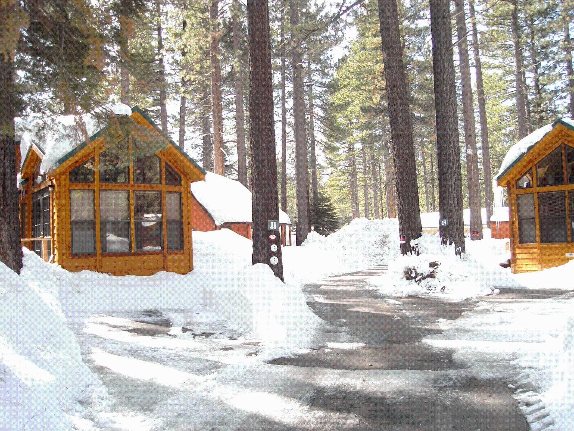 Cedar Pines Resort South Lake Tahoe Eksteriør billede