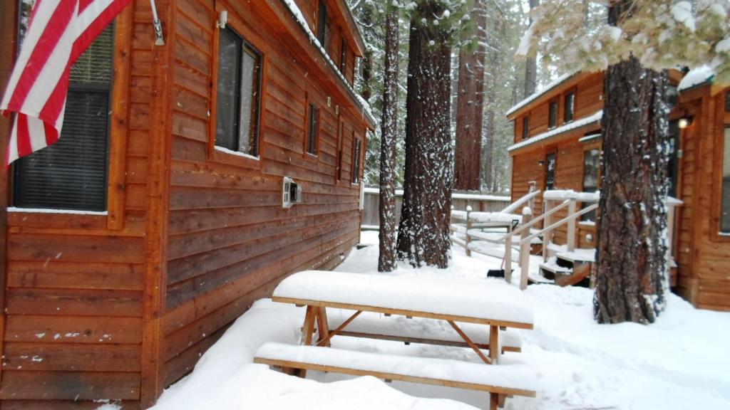 Cedar Pines Resort South Lake Tahoe Eksteriør billede