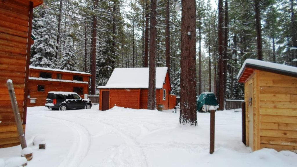 Cedar Pines Resort South Lake Tahoe Eksteriør billede